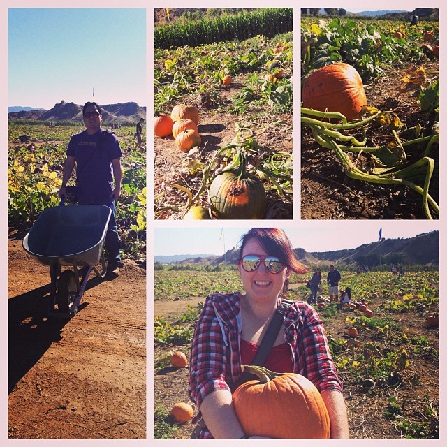 Success. We have our pumpkins.