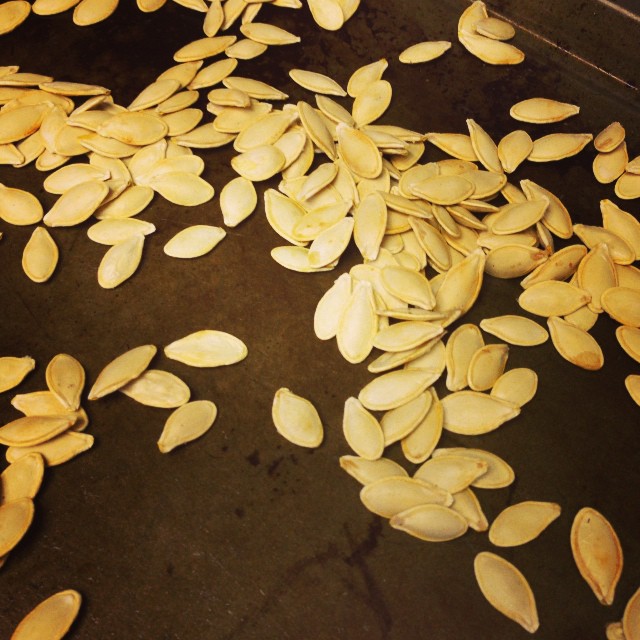 More roasted pumpkin seeds! I am now a fan after this fall season.