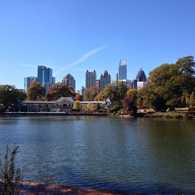 View of downtown through the park.