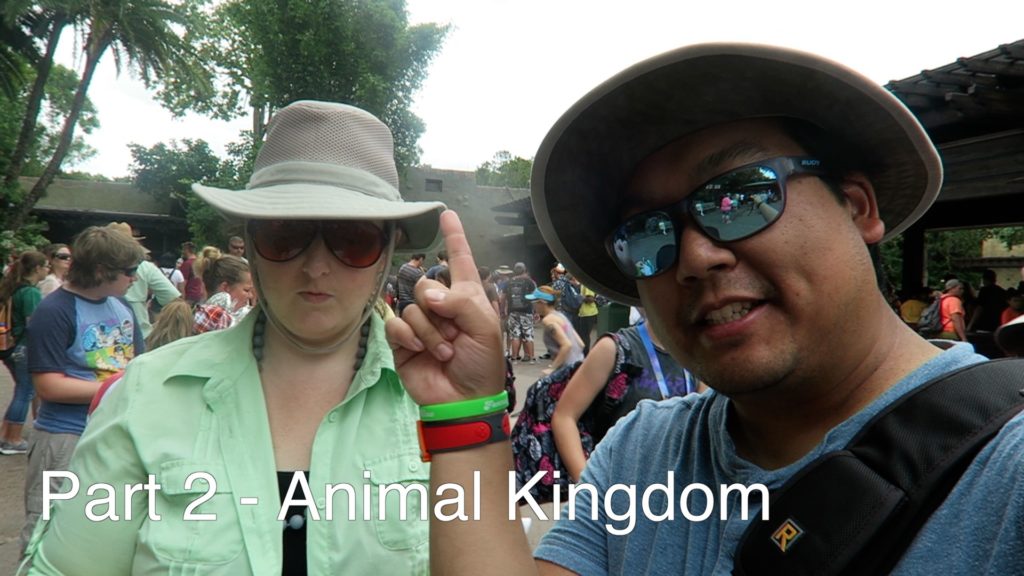 2017 Family Vacation Part 2 – Animal Kingdom