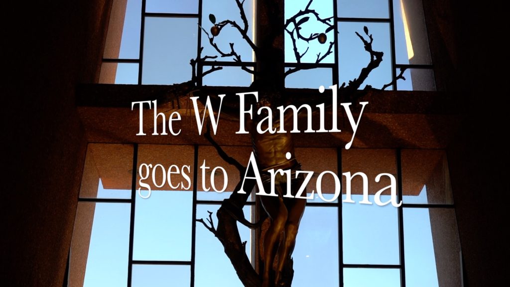 Episode 38 — Roadtrip to Sedona in the Age of COVID-19