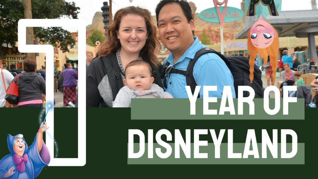 1 Year At Disneyland